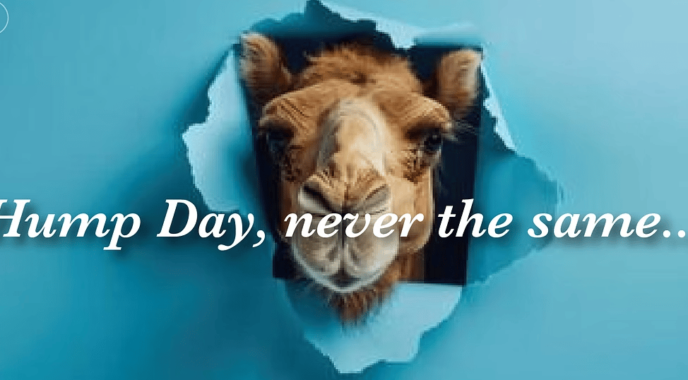 Hump Day, never the same